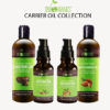 Best organic castor oil for hair growth